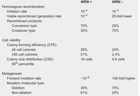 Fig. 6. Quantitative aspects of the WS fibroblast phenotype. This integrated data set was developed from the same SV40-transformed fibroblast cell lines