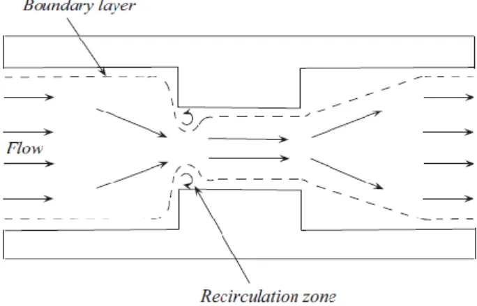Figure 6: Pattern of vena contracta region [1,69] 