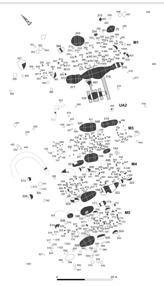 Fig. 6 : Plan d’ensemble des structures fouille´es et position des coupes (releve´s Y