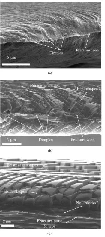 Figure 13: SEM observations of fracture regions of the thin tensile samples, (a) for the reference material and (b,c) for the irradiated material