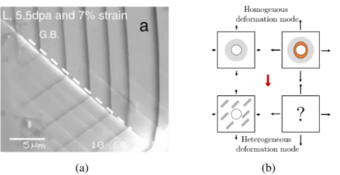 Figure 1: (a) Slip traces observed at the surface of a sample of irradiated austenitic stainless steel subjected to uniaxial stress loading conditions (taken from [52]), resulting from dislocation channeling deformation mode