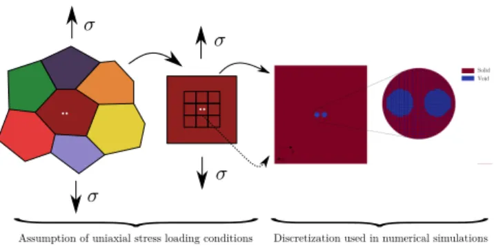 Figure 6: Assumption of uniaxial stress loading conditions at the grain scale used in the numerical simulations, by considering either static uniform  bound-ary conditions or periodic boundbound-ary conditions (Appendix B)
