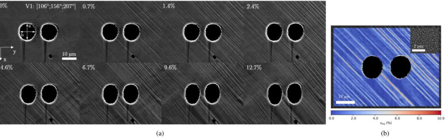 Figure 7: (a) Evolution of voids shapes as a function of macroscopic plastic strain inside a grain with crystallographic orientation [106 ◦ , 156 ◦ , 207 ◦ ] (Euler angles orientation with the Bunge convention (zx'z'') obtained through EBSD on the other si