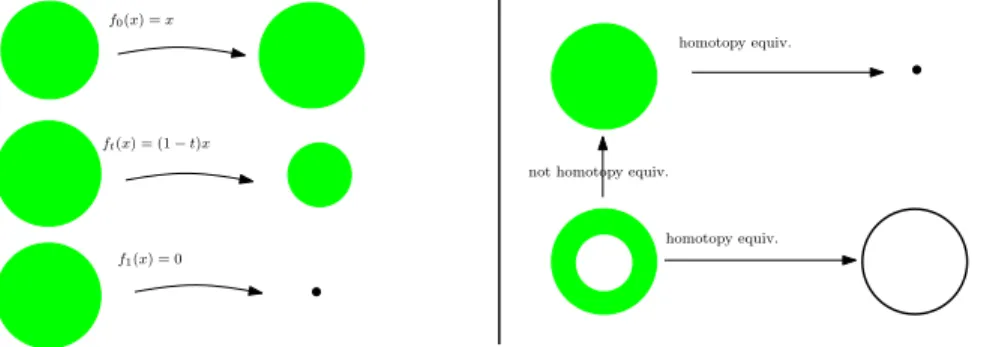 Figure 1.2: An example of two maps that are homotopic (left) and examples of spaces that are homotopy equivalent, but not homeomorphic (right).