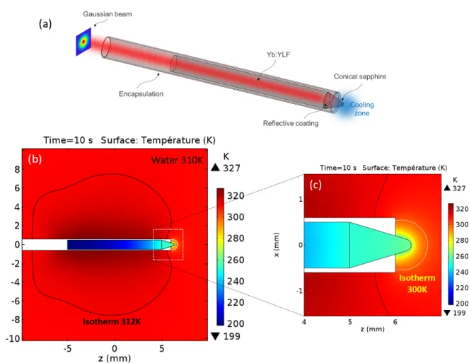 Figure 7. (a) Schematic view of the DBS like cooling probe. (b) Finite element simulations of the DBS like cooling probe after 10 s of illumination at 19 W (1020 nm)