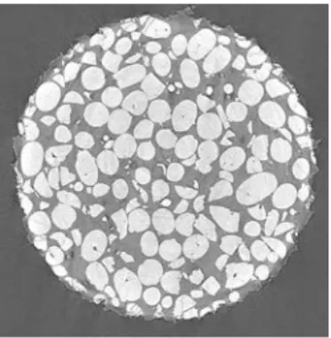 Figure 5 : a : Image de la surface   b. Image zoomée  c. Image MEB  3.2.  Analyse microtomographique
