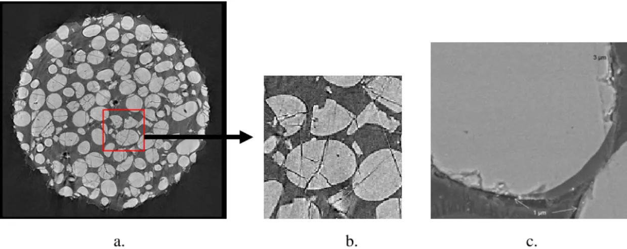 Figure 8: a. Coupe microtomographique orthoaxiale   b. Zoom de l’image (a).  c. Micrographie 