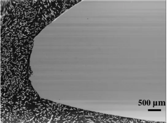 Figure 16: SEM observations of the cross-section of the crept specimen far from the necking area (240 MPa,  550°C)