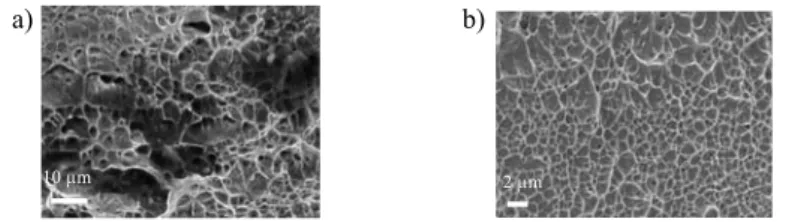 Fig. 6: SEM observations of tensile specimen after fracture at room temperature of a) grade 301LN  with many inclusions and b) grade 201