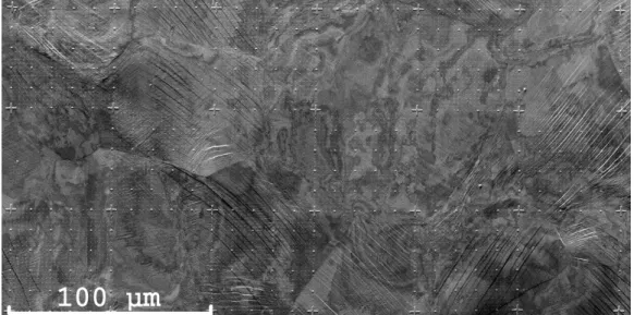 Fig. 2 – Partial checkerboard pattern after 1.8% of macroscopic plastic strain.