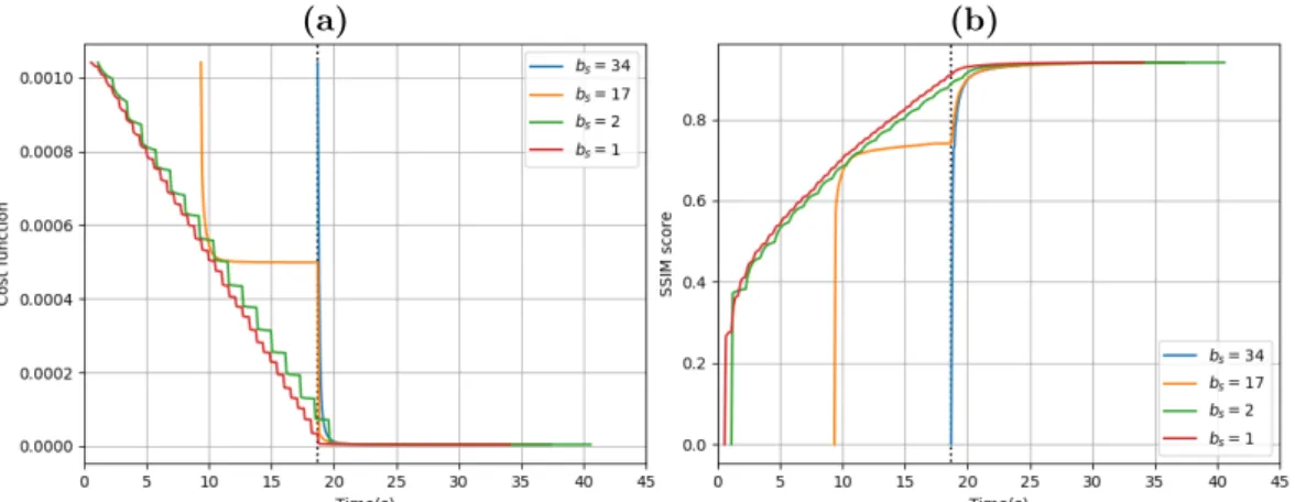 Figure 5: Online reconstruction of 15-fold (S = 34 shots) prospectively accelerated Sparkling scan of ex vivo baboon brain in a single-channel coil acquisition setup