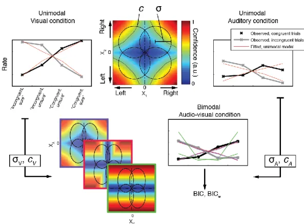 Figure S2: Modeling strategy. We modeled the unimodal data (top panel) to obtain estimates of the modality-specific  internal noise (σ) and criterion (c) for each participant
