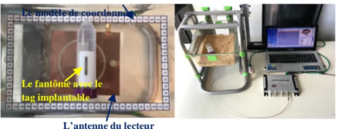 Figure 5. Les positions à trois rangées du modèle fantôme orientées selon  l'axe X (a) et le long de l'axe Y (b), pour unn déplacement le long de 