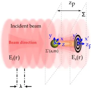 Figure 1: Schematics of DIH principle 