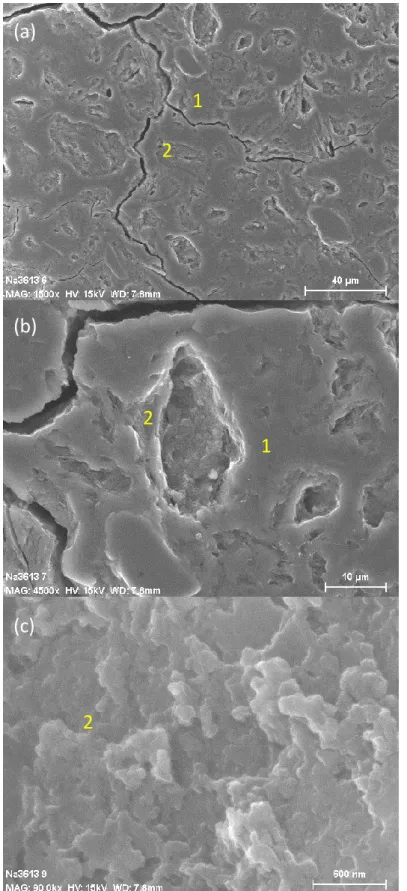 Figure  8  –  SEM  micrographs  of  the  one-month  aged  geopolymer  paste  Na-3.6-13  at  different scales
