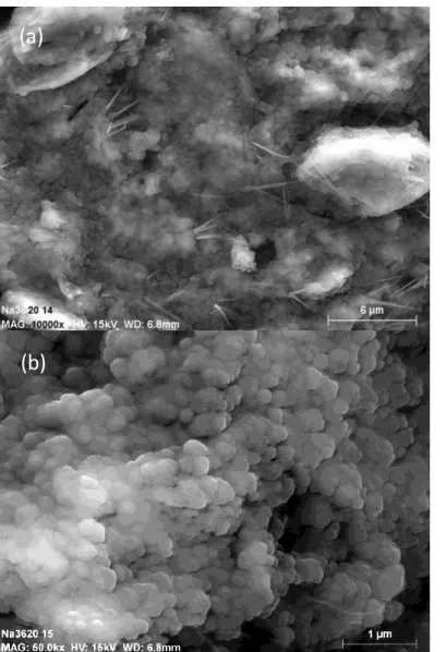 Figure 9 – SEM micrographs of the one-month aged geopolymer paste Na-3.6-20. 