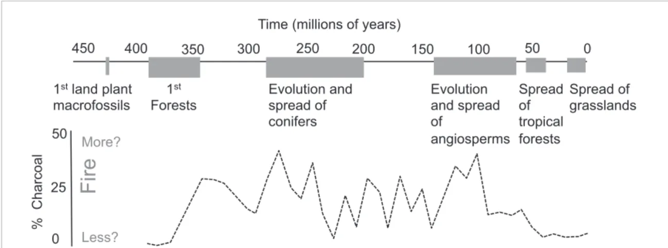 Figure B1. Changes in the abundance of inertinite (fossil charcoal) as preserved in coal deposits tells a robust and long-term story of global trends in fire-activity over the last 400 million years