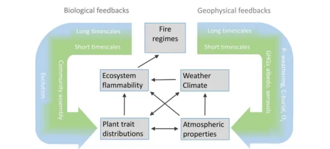 Figure 3. Fire acts through both geophysical processes (exchange of energy and matter between the biosphere and atmosphere) and biological processes (community assembly and evolution)