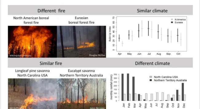 Figure 4. Examples of divergent (top) and convergent (bottom) fire regimes. Boreal North America and Eurasia have different fire regimes (crown fire vs surface fire respectively) but similar climates, and North Carolina, USA and Northern Territory Australi