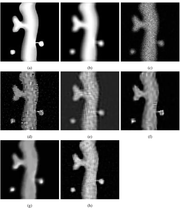 Figure 2. Deconvolution of a simulated neuron (Intensity 6 30). (a) Original, (b) Blurred, (c) Blurred&amp;noisy, (d) RL-TV [7], (e) NaiveGauss [12], (f) RL-MRS [3], (g) FTITPR [55], (h) Our Algorithm.