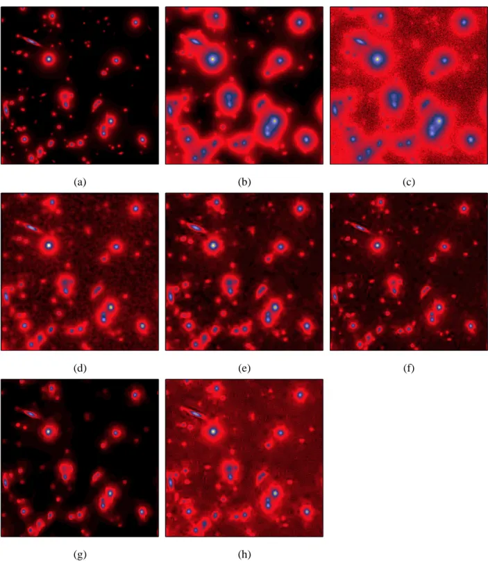 Figure 5. Deconvolution of the simulated sky. (a) Original, (b) Blurred, (c) Blurred&amp;noisy, (d) RL-TV [7], (e) NaiveGauss [12], (f) RL-MRS [3], (g) FTITPR [55], (h) Our Algorithm.