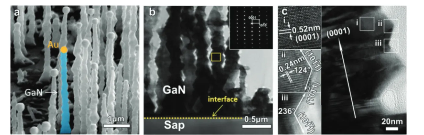 Fig. 2 (a) Tilted SEM image and (b) low magni ﬁ cation cross-sectional TEM image of GaN nanowires epitaxially grown on sapphire; (inset is the corresponding SAED pattern obtained from the selected area of an individual nanowire labelled by a yellow box); (