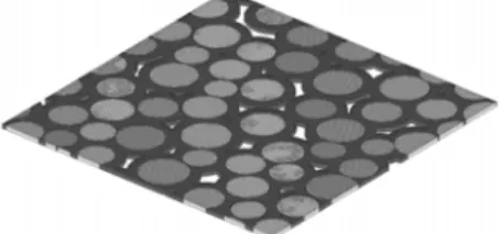 Figure 2 : Exemple de microstructure simulée  2.1.3  Propriétés matériau 