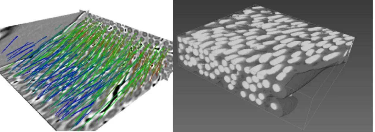 Figure  2.    3D  rendering  of  fibers  and  matrix  in  a  C/C  sample  from  an  edge-detection  mode, after fiber axis identification