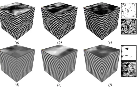 Fig. 5a and 5d show the volumetric textures for Wei and Levoy’s approach while Fig. 