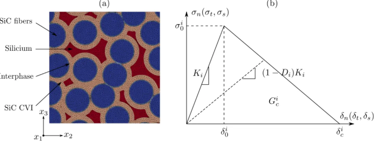Figure 1. (a) Typical EV meshed at the micro-scale and (b) Bilinear traction/separation law used for  CZM and for isotropic bulk elements