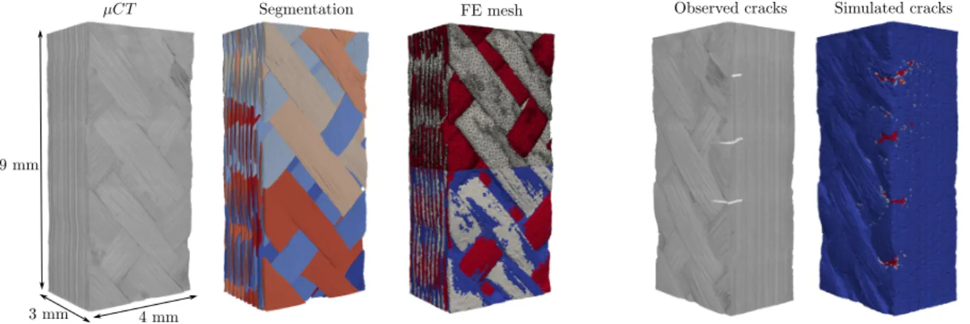 Figure 6. (left) Image-based FE meso-models construction from µCT images to FE models and (right)  comparison between experiment and simulation on the location of first cracks