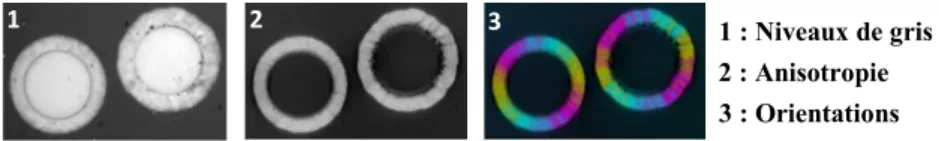 Fig. 1 Analyse MOLP d'un dépôt de pyrocarbone 