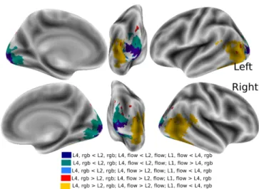 Figure 5: Parcellation summarizing artificial-biological corre- corre-spondences: The set of active voxels were split into  sub-groups according to their differential response to three  con-trasts: L2 f low − L4 f low , L2 rgb − L4 rgb , and L1 f low − L4 