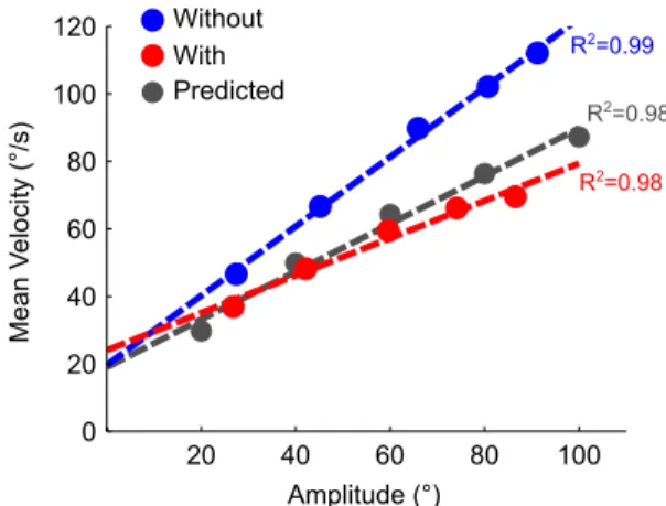 Fig. 4. Simulated amplitude/velocity relationship predicted with ABLE, computed from the time-effort optimal control model and experimental data averaged between directions
