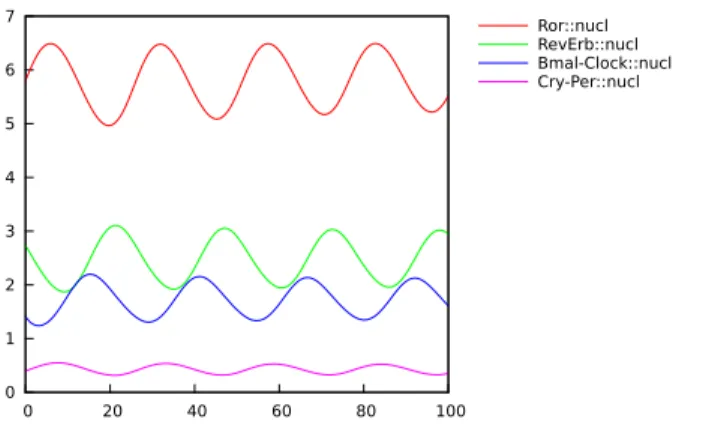 Figure 3: Simulation trace of the Circadian Clock model of Relogio et al. over a time horizon of 100h.