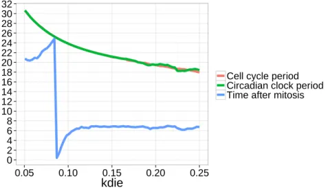 Figure 7: Entrainment in period and phase of the circadian clock when the period of the cell cycle varies with the parameter kdie, with the inhibition of Bmal1 triggered by mitosis