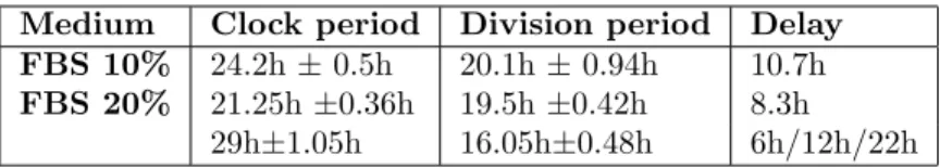 Table 2: Estimated periods of the circadian molecular clock and the cell division cycle mea- mea-sured in [14] in fibroblast cells after treatment by Dexamethasone, for two concentrations of FBS