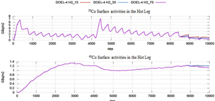 Fig. 5. OSCAR V1.3 calculation  Surface activities in the crossover leg region of DOEL-4.