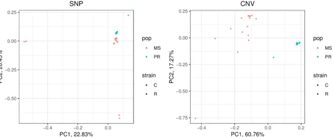 Figure 1. Principal component analysis from SNP (left) and CNV (right). MS and PR represent  samples from Mississippi and Puerto Rico, respectively