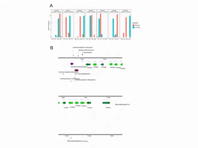 Figure 2. Positively selected CNV. A. Allele frequency of positively selected CNV. CN0, CN1,  CN2, and CNH represent copy number equal to zero, one, two, and greater than two, respectively