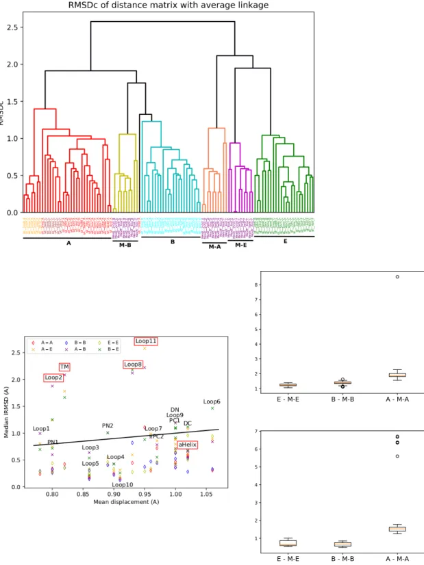 Figure 6: Analysis of MexB’s states. (First row) Clustering with RMSD Comb. for AcrB and MexB