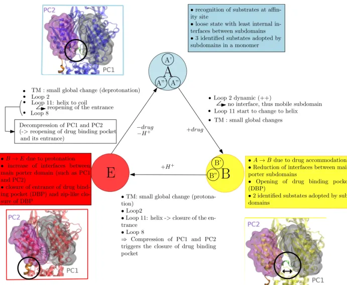 Figure 7: Positioning of the main events highlighted in this work with respect to the (A,B,E) cycle