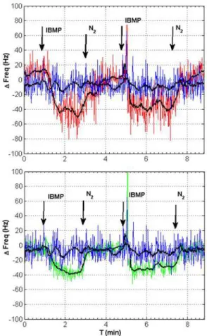 Figure 5: Response of two OBP-grafted diamond micro- micro-cantilevers and two references to water vapor and IBMP  Results of Figure 5 presents the response of two OBP grafted  sensors  (red  and  green)  compared  with  two   non-functionalized  cantileve