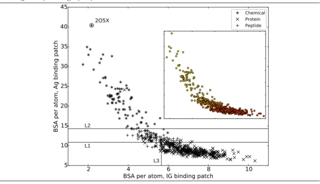 Figure 3 Average buried surface areas per atom (Equations (1) (2)): bsa IG versus bsa Ag 