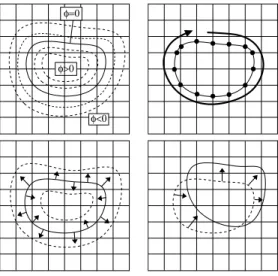 Figure 3: The four evolution steps. Top-left, step (1): (re)initialization; top-right, step (2): contour extraction and computation of the speed on-contour; bottom-left, step (3): extension of the speed to the Narrow Band; bottom-right, step (4): evolution