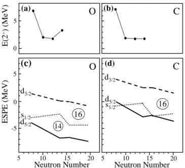 FIG. 5: (a) Evolution of the 2 + energies as a function of the neutron number in oxygen and (b) carbon nuclei