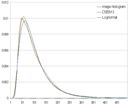 Figure 2: Plot of the image histogram and of the DSEM and lognormal pdf estimates for the &#34;Mountain16&#34; data image.