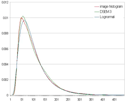 Figure 2: Plot of the image histogram and of the DSEM and lognormal pdf estimates for the "Mountain16" data image.