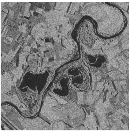 Figure 1: "River_ponds" image (©ASI).