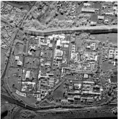 Figure 7: "Ramses" image (©ONERA-CNES).